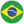Brazilian Portuguese